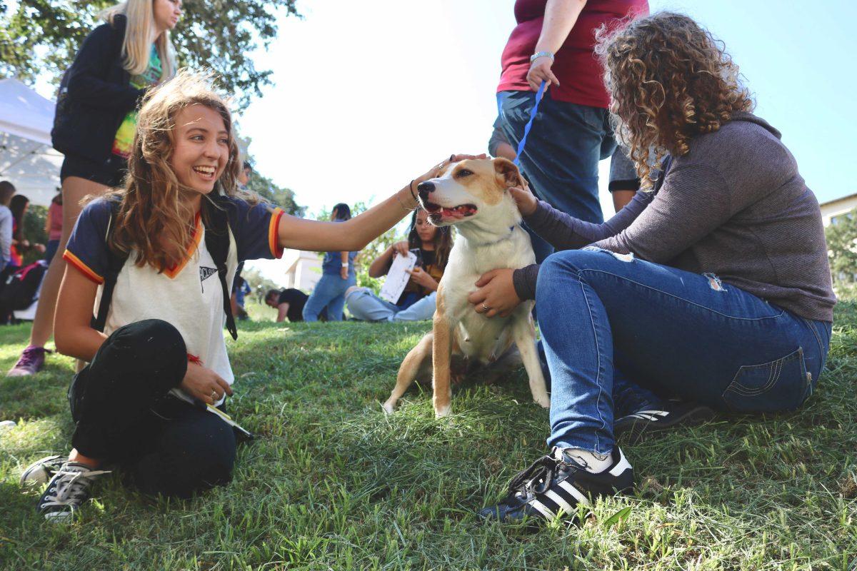 Hanna Hurd freshman film major pets October the dog at the canine carnival on Oct.10Photo by Victor Rodriguez | Assistant Multimedia Editor