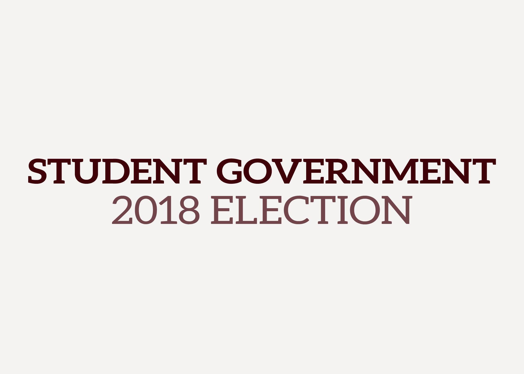 Campaigns+emerge+as+Student+Government+elections+approach