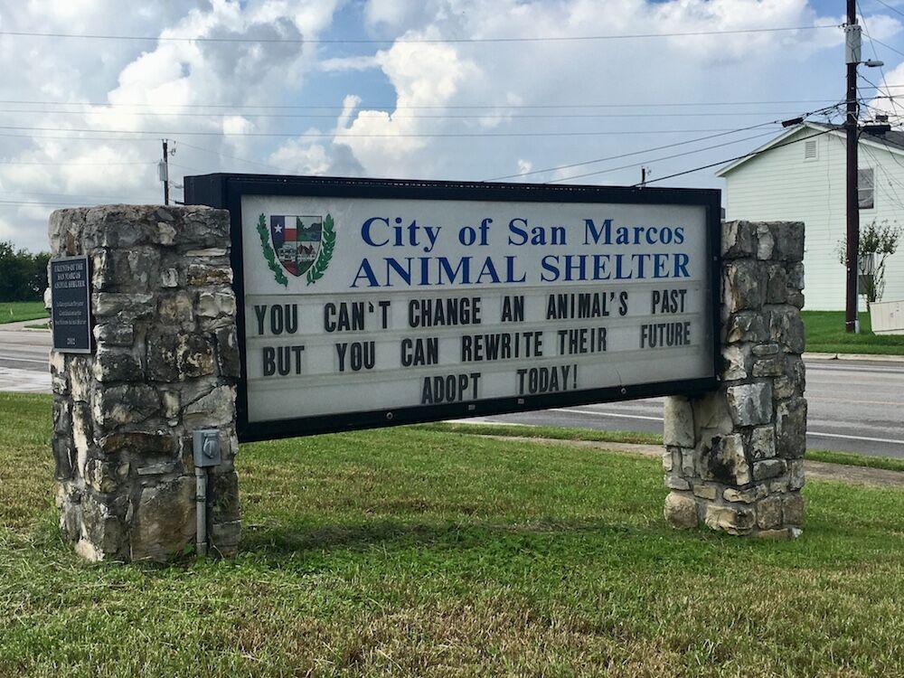 The sign in front of the San Marcos Regional Animal Shelter adoption center, a public facility. 