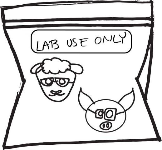 
Labs that employ animal dissection offer nothing useful to students who are trying to better themselves academically and altruistically.


Illustration by Erikka Polk
