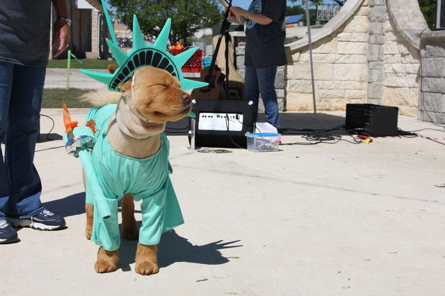 A dog poses as the Statue of Liberty, Saturday, April 20, 2019, at Mutt Strutt in Plaza Park. For 15 years, the Mutt Strutt has served as a charity event for the San Marcos Regional Animal Shelter. [Photo by Laura Figi]