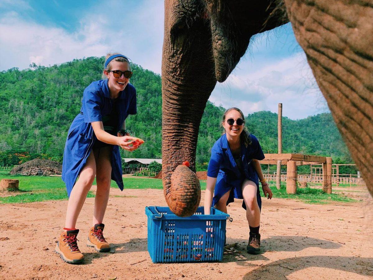 Rayanna Hack (left) and Renee Smith (right) feed an elephant watermelon. Elephants at the sanctuary had daily diets of bananas, watermelon, hay and grass.