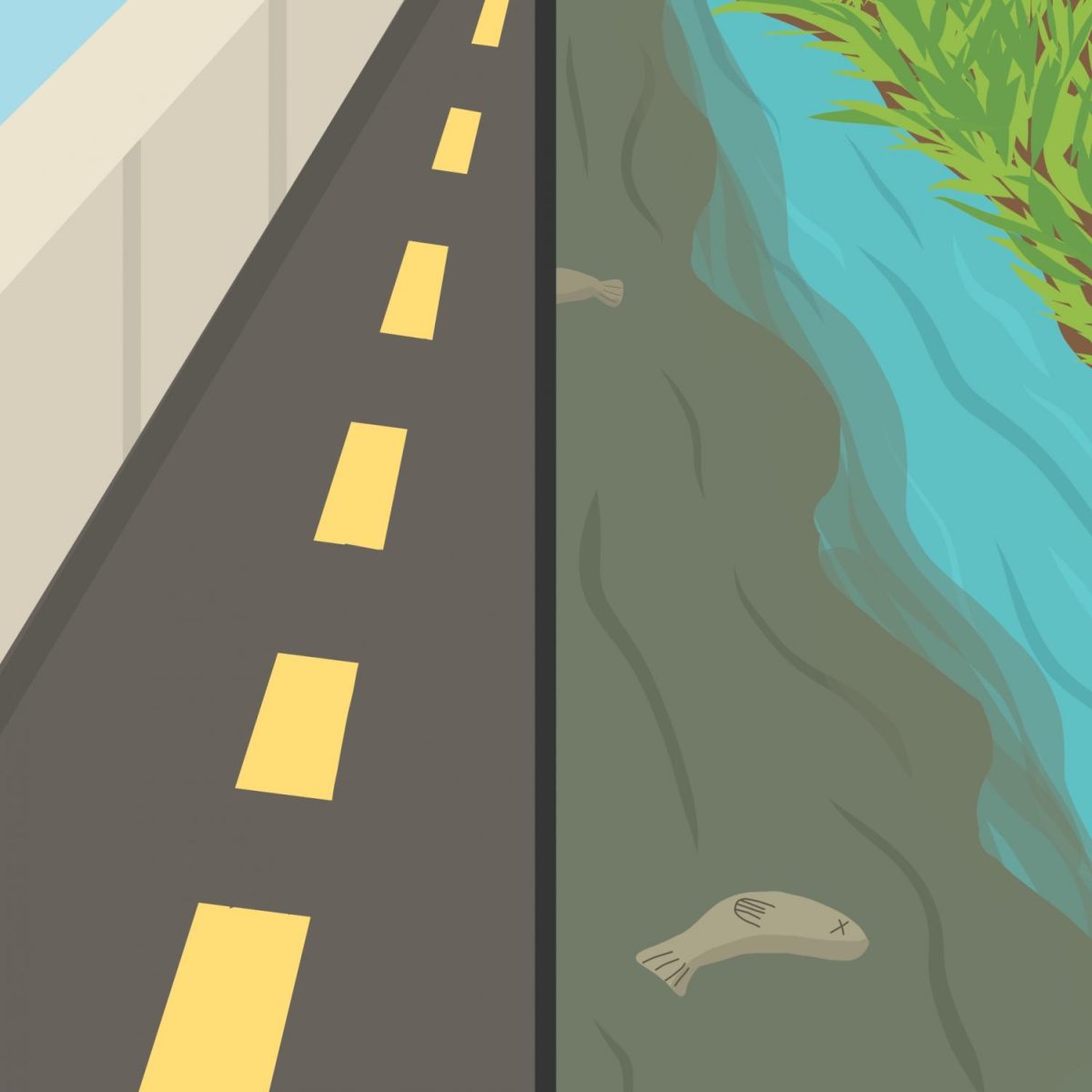 An illustration of a road and a murky river with dead fish separated by line down the middle.