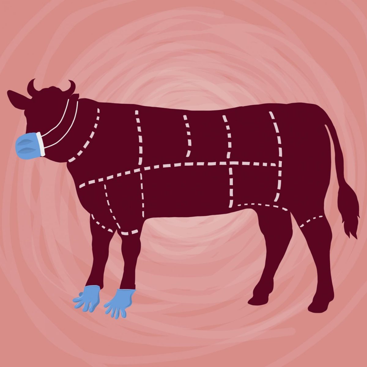 A diagram showing a cuts of meat of a cow. The cow has a face mask and gloves on.