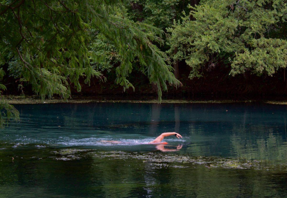 A man swims along the San Marcos River, Wednesday, Sept. 16, 2020, after all city-owned riverfront parks have reopened after being closed for nearly three months.