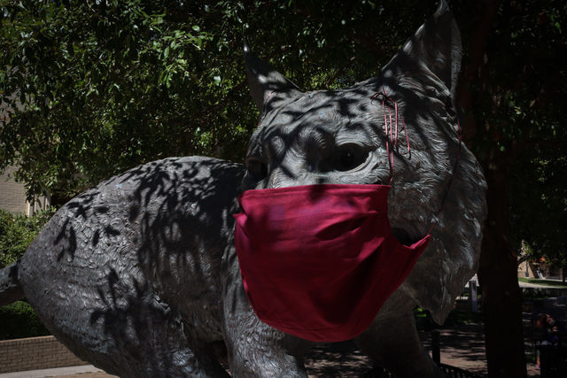 The Bobcat statue on Texas State campus wears a mask, Tuesday, Sept. 29, 2020, near the Quad bus loop. The Swine Flu occurred in the spring of 2009, and according to Dr. Emilio Carranco, H1N1 consisted of mild symptoms while COVID-19 can cause more long-term effects.