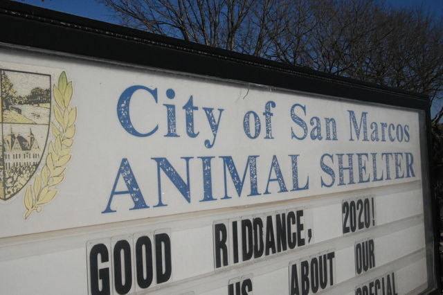 The main sign, Thursday, Jan. 14, 2021, at the San Marcos Regional Animal Shelter. The shelter is currently offering only curbside pickup due to the closure of public facilities in the city.