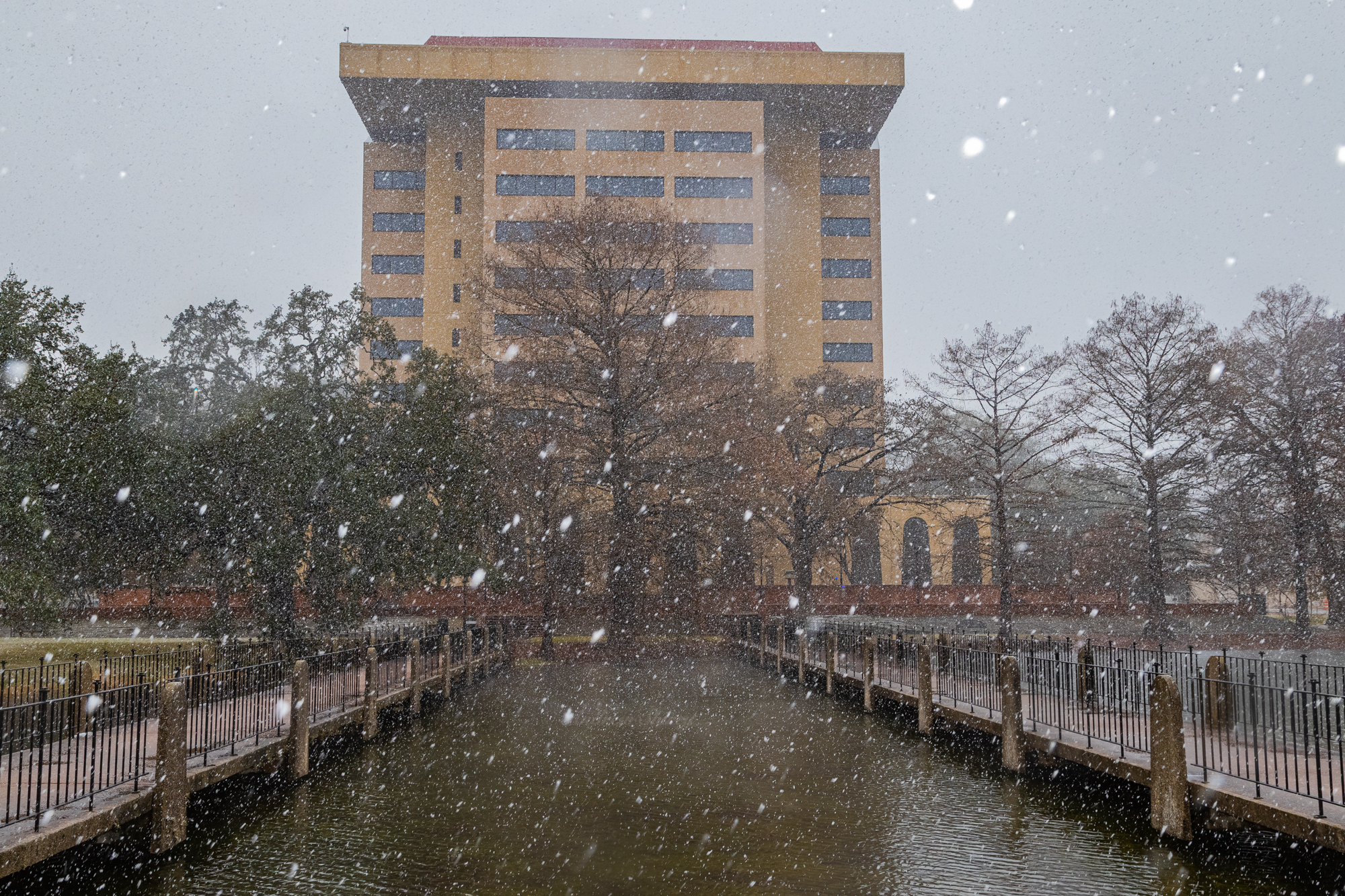 Snowfall+returns+to+San+Marcos+ahead+of+spring+semester