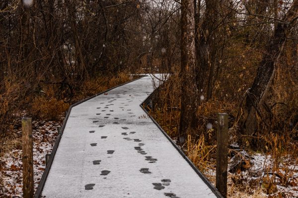 Footprints are displayed upon a boardwalk located at Spring Lake, Sunday, Jan. 10, 2021, in San Marcos.
