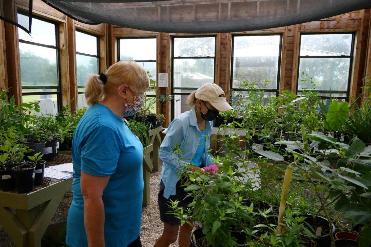 Members of the Hays County Master Gardeners take plant inventory at Jacobs Well Greenhouse in 2021.