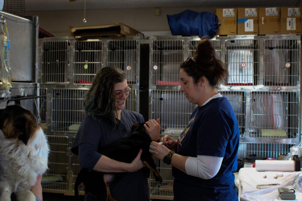 Veterinarian+technician+Alex+Robbins+%28left%29+and+PALS+office+manager+Renee+Vanderford+give+a+dog+a+vaccine%2C+Sunday%2C+Feb.+5%2C+2023%2C+at+Prevent+a+Litter.