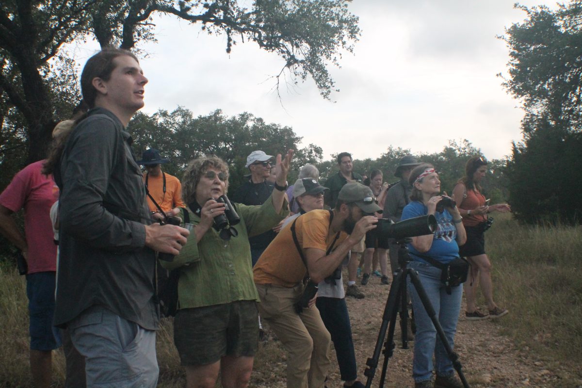 Stephen Ramirez and San Marcos bird walkers explore different bird species on the monthly bird walk, Saturday, July 1, 2023, at the River Recharge Natural Area.