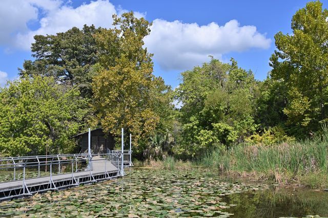 The wetland boardwalk spans across Spring Lake, Friday, Oct. 22, 2021, at the Meadows Center.