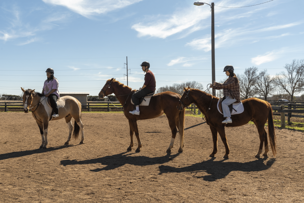 Members of Try @ TXST learn to ride horses with the Texas State Equestrian Club, Wednesday, March 1, 2023, at Sunny Fox Farms.