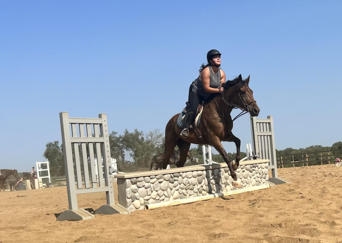 Lauren+Rosenberger%2C+interior+design+junior%2C+and+her+horse+jump+over+the+wall%2C+Friday%2C+Aug.+25%2C+2023%2C+at+Sunny+Fox+Farms+in+San+Marcos.
