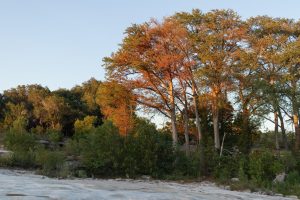 The sun sets behind the trees alongside the Blanco River, Thursday, Aug. 10, 2023, at University Camp in Wimberley, Texas.