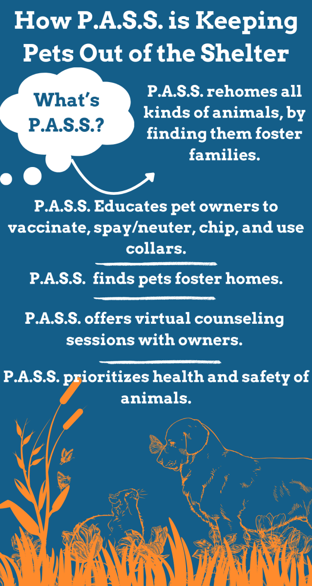 How P.A.S.S. is Keeping Pets Out of the Shelter (1)