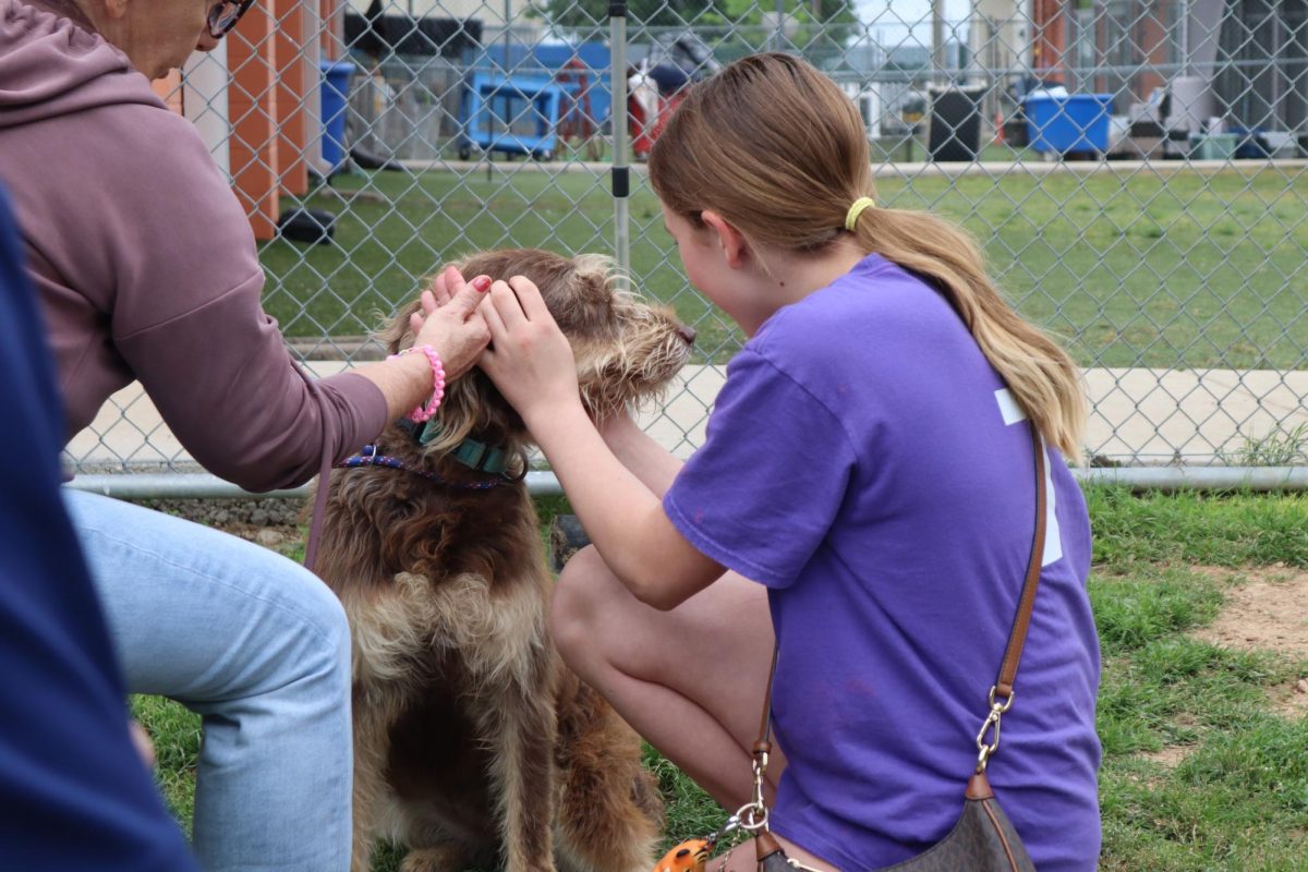 Ivy Camp meets a new best friend with excitement at the San Marcos Regional Animal Shelter, Saturday, March 30, 2024, in San Marcos.