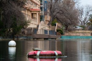 A turtle perches on a diving bouy on Spring Lake, Wednesday, Feb. 5, 2025, outside the Meadows Center.