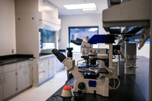 An inverted microscope sits on a table in an empty laboratory at Star One, Wednesday, Feb. 26, 2025. Star One is Texas State’s first technology incubator dedicated to research efforts.