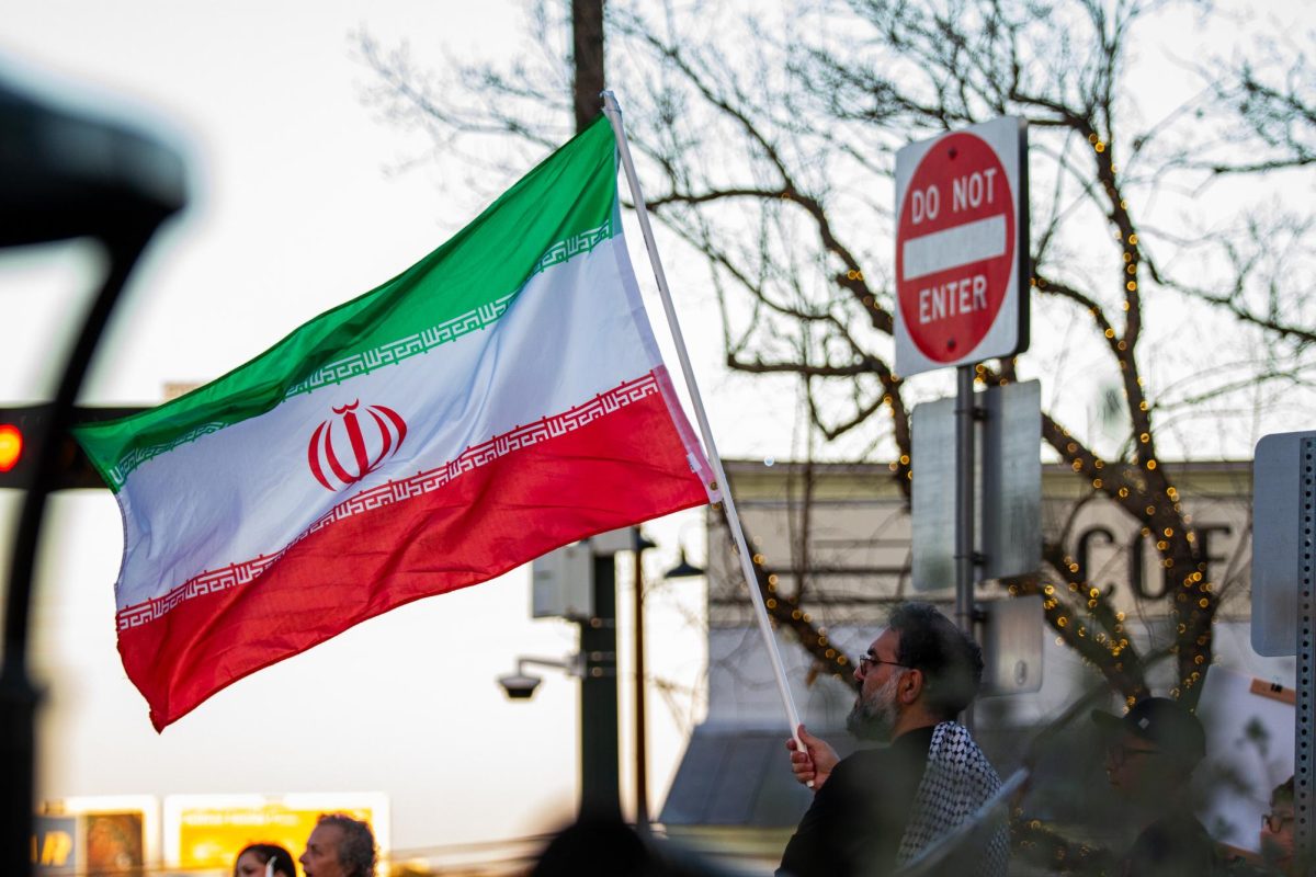 Assistant Professor of Instruction for Physics Saeed Moshfegh holds up an Iranian flag, Monday, March 2, 2026, at Hays County Courthouse. 