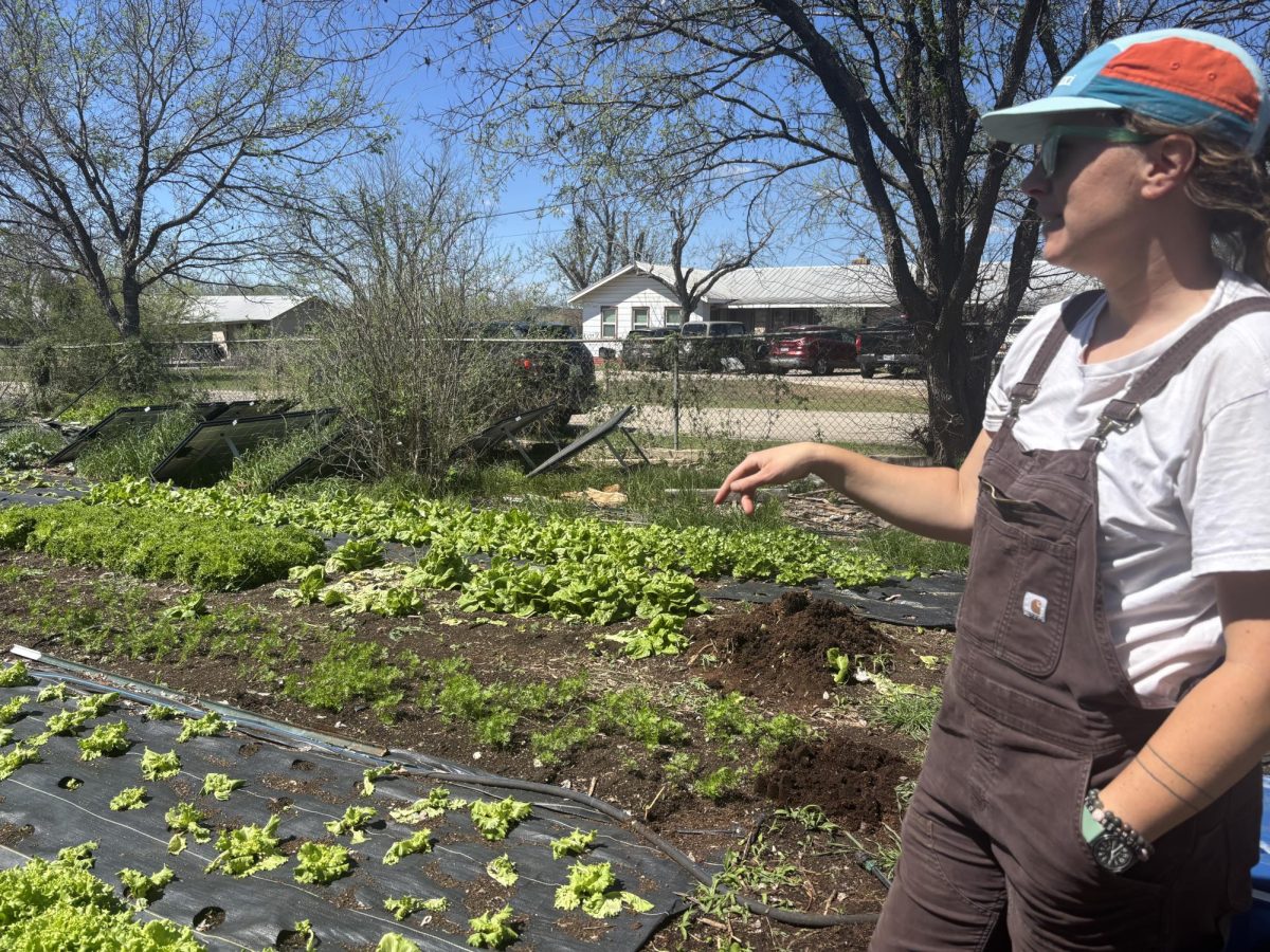 Sarah Shook said her farm in New Braunfels has suffered from the drought in multiple ways. From pests to utility bills, she fights to keep her business running.