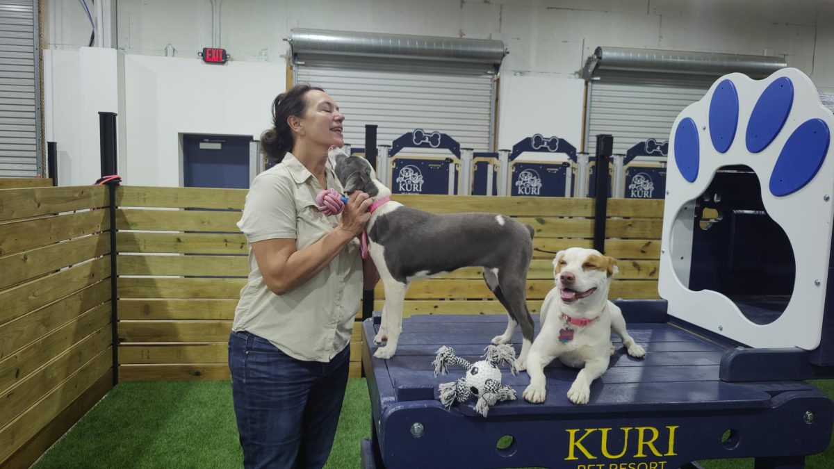 Kuri Pet Resort co-owner Robyn Leenaerts plays with 8-month-old Australian Shepard Mix Winnie, Tuesday, March 24, 2026, at Kuri Pet Resort at 2977 Interstate 35 #102. Winnie, a rescue, arrived at the pet resort that day.