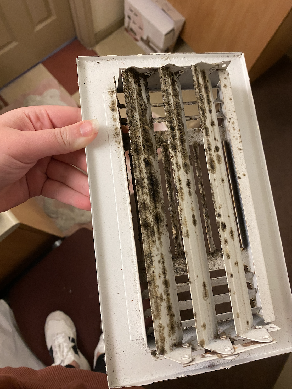 Fungal growth reported in Texas State residence hall