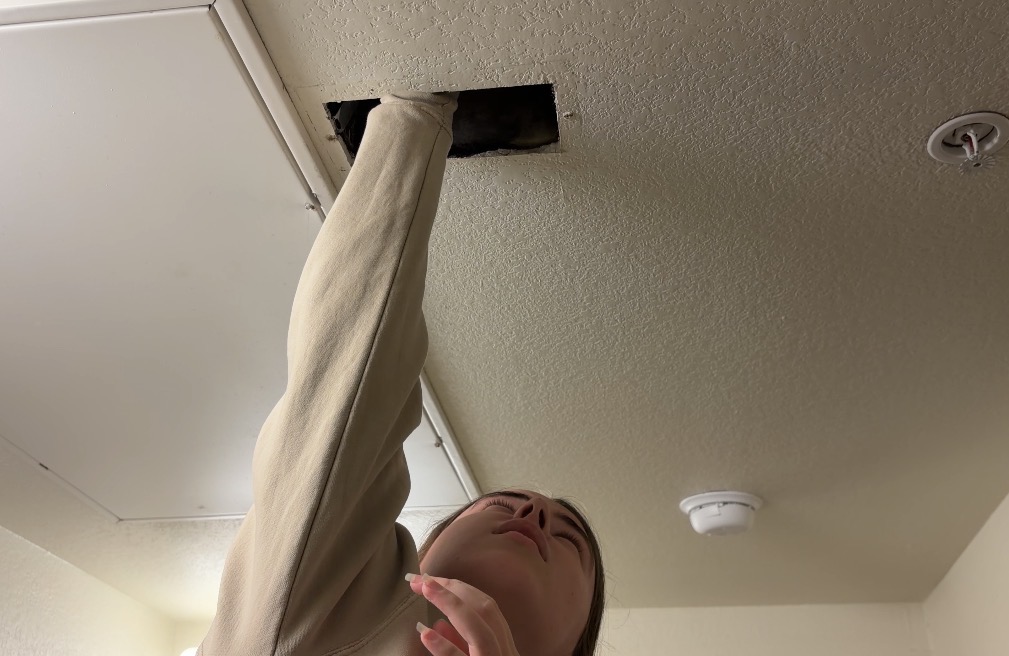 Fungal growth reported in Texas State residence hall