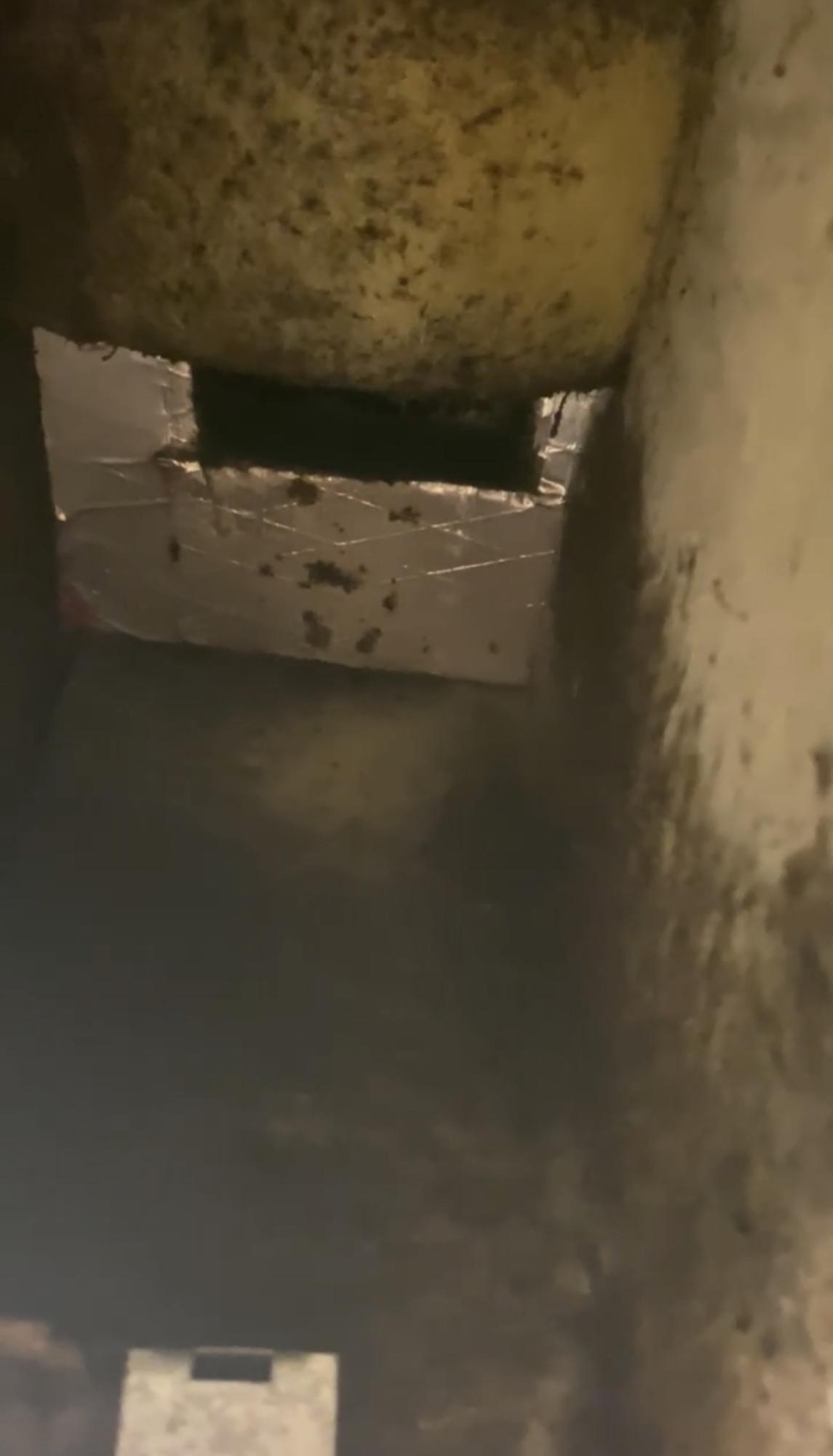 Fungal growth reported in Texas State residence hall